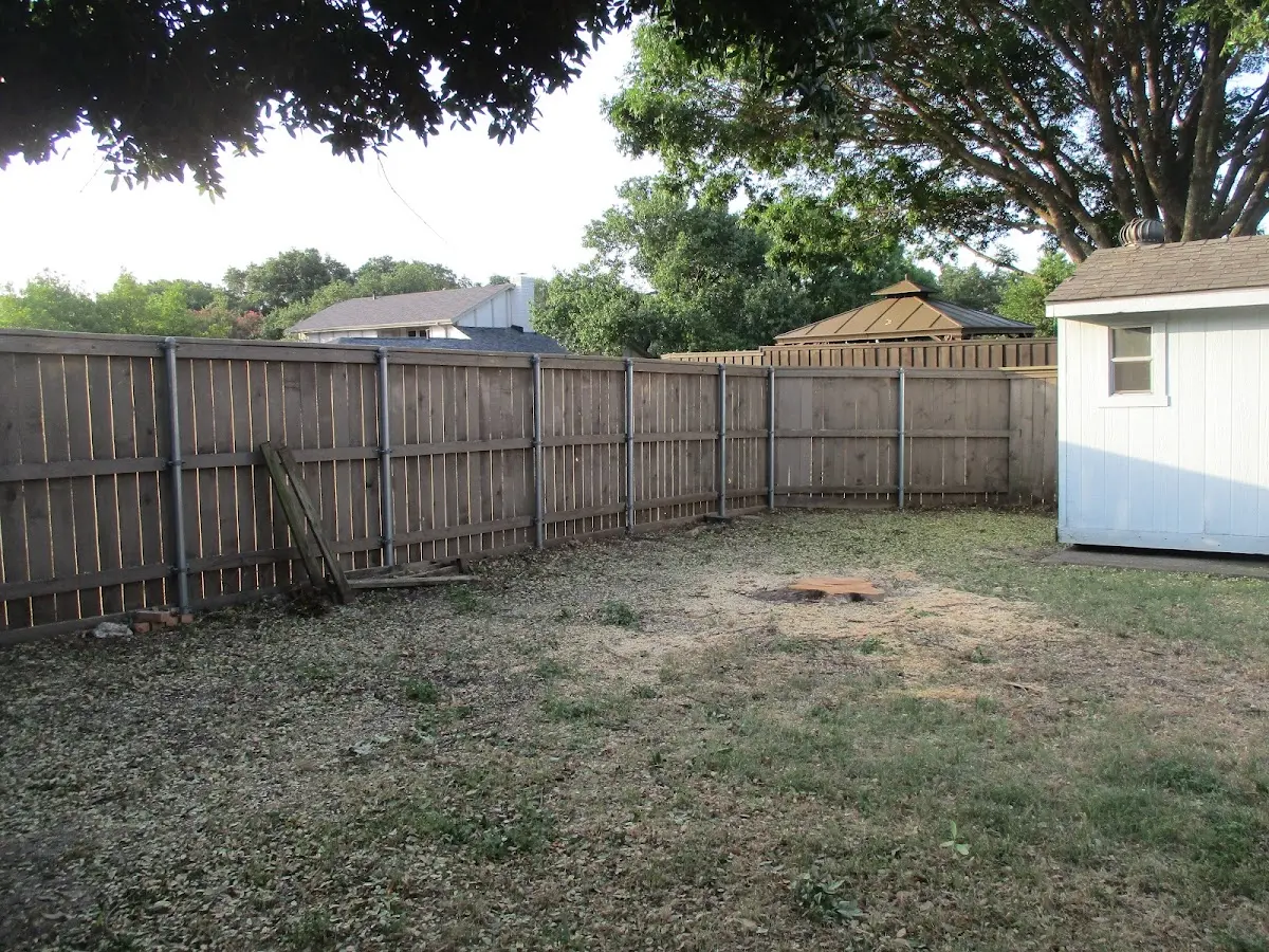 Cleared yard after professional tree removal in Haverhill